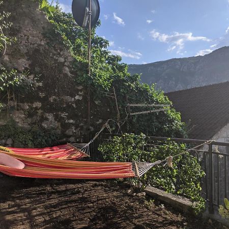 Best View! Rooftop With Garden - Old Town Nr404 Daire Kotor Dış mekan fotoğraf