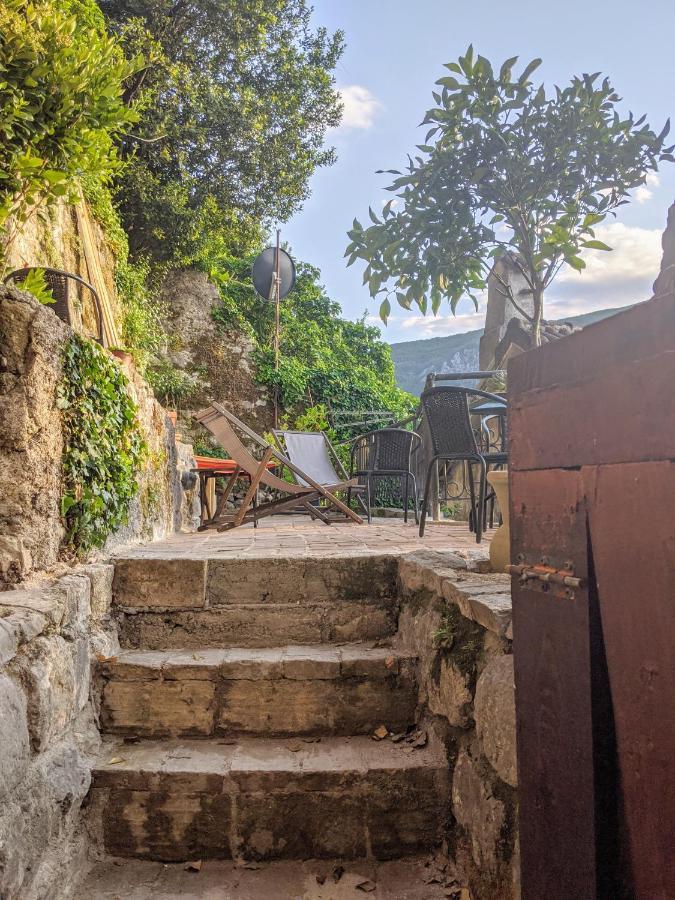 Best View! Rooftop With Garden - Old Town Nr404 Daire Kotor Dış mekan fotoğraf