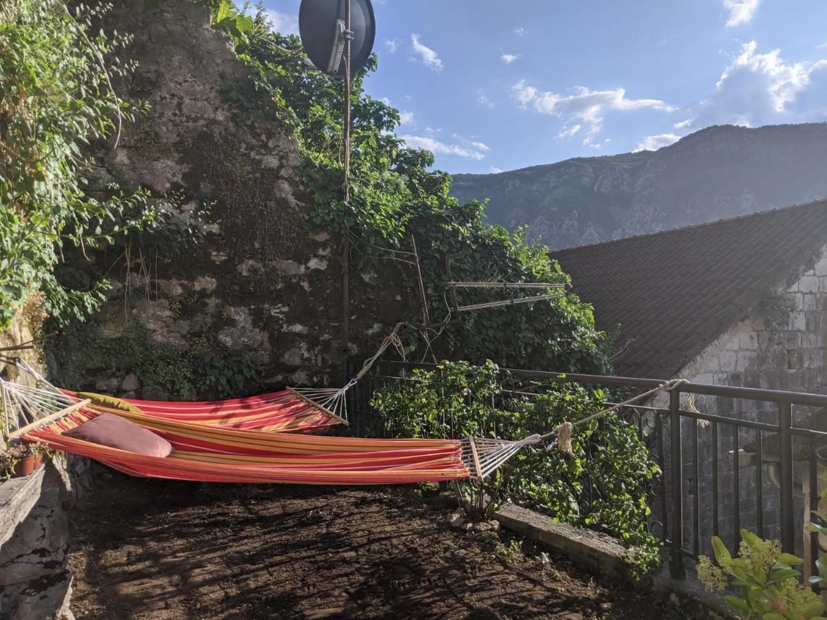 Best View! Rooftop With Garden - Old Town Nr404 Daire Kotor Dış mekan fotoğraf