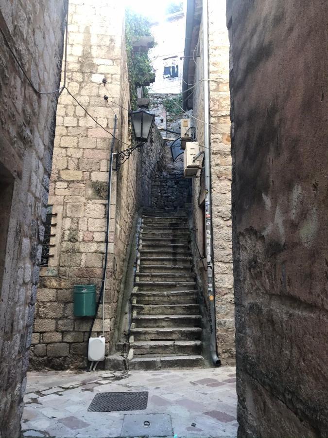 Best View! Rooftop With Garden - Old Town Nr404 Daire Kotor Dış mekan fotoğraf