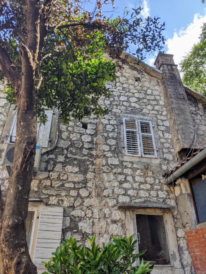 Best View! Rooftop With Garden - Old Town Nr404 Daire Kotor Dış mekan fotoğraf