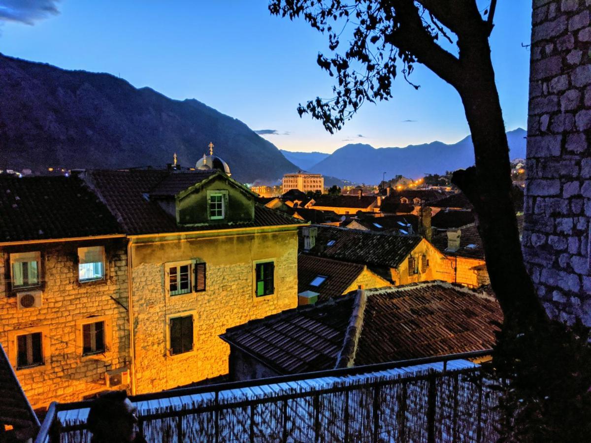 Best View! Rooftop With Garden - Old Town Nr404 Daire Kotor Dış mekan fotoğraf